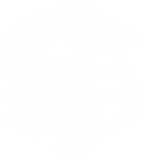 Logo for the american avalanche association